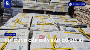 cung-cap-giay-bao-cu-so-luong-lon (4)