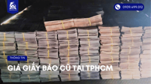 giay-bao-cu-tphcm (4)