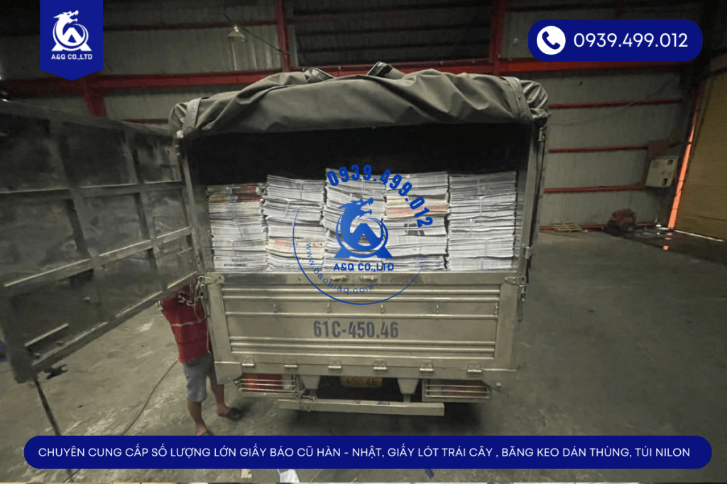 giay-bao-cu-tphcm (4)