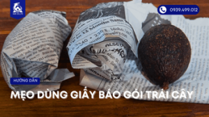 giay-bao-goi-trai-cay (1)
