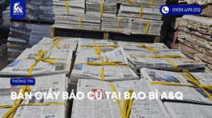 ban-giay-bao-cu-00004