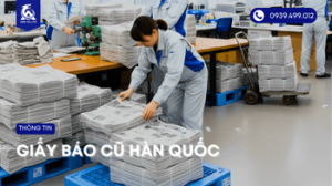 cach-su-dung-giay-bao-cu-han-quoc (3)