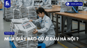 mua-giay-bao-cu-o-dau-tai-ha-noi (4)