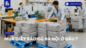 mua-giay-bao-ha-noi-o-dau-chat-luong (4)