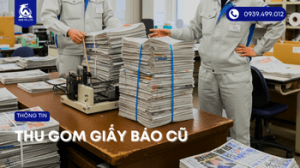 thu-gom-giay-bao-cu (1)