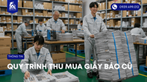 thu-mua-giay-bao-cu (4)