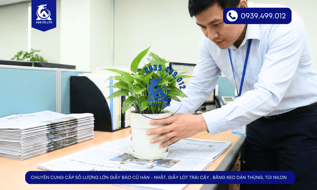 10-cach-tai-che-tu-giay-bao-cu-bao-bi-a-q