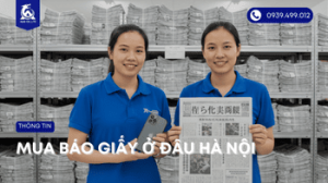 mua-bao-giay-o-dau-ha-noi-bao-bi-a-q