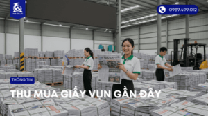 thu-mua-giay-bao-cu-gan-day-bao-bi-a-q